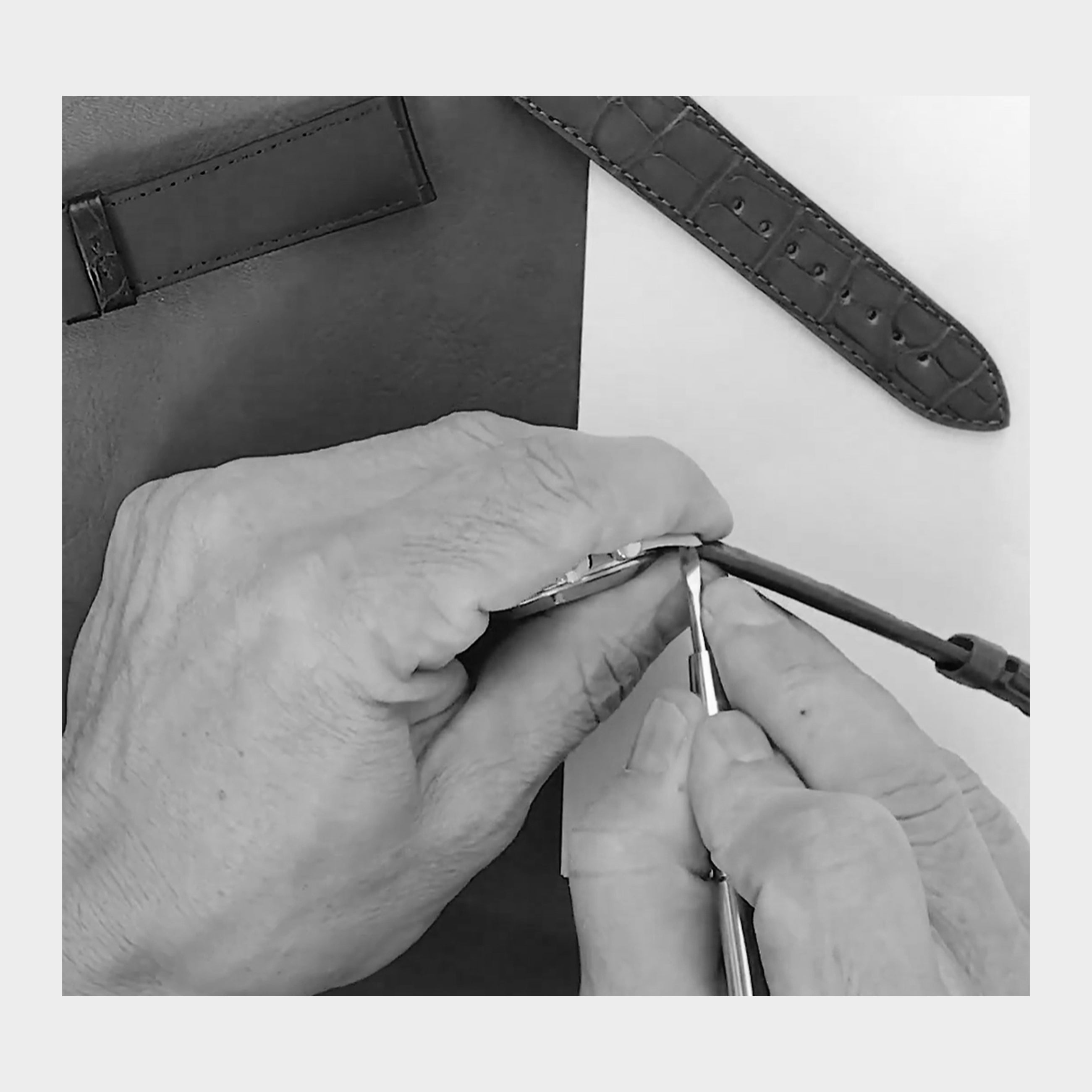 Watch Strap Removal and Assembly Tool - Spring Bars - Black